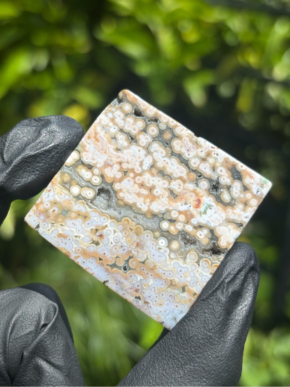 Ocean Jasper Small Square Slab - Polished Orbicular Jasper - Sea Jasper